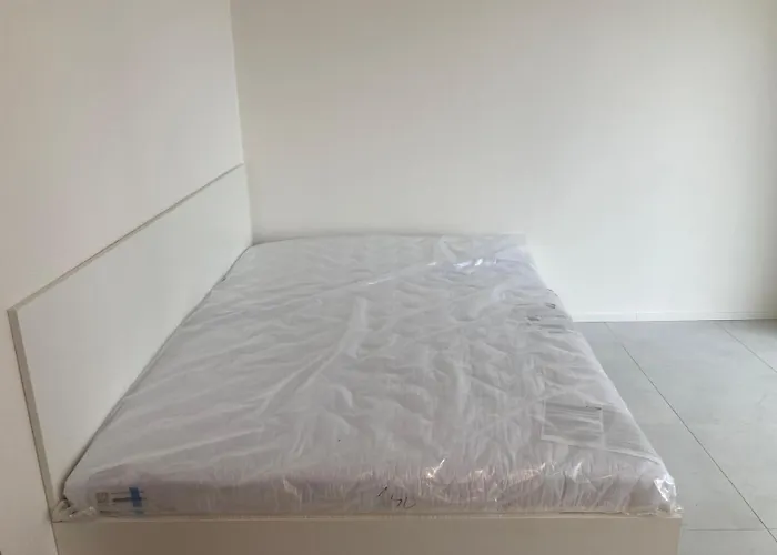 Apartment Brno Centrum Koliste 65A Komforta *